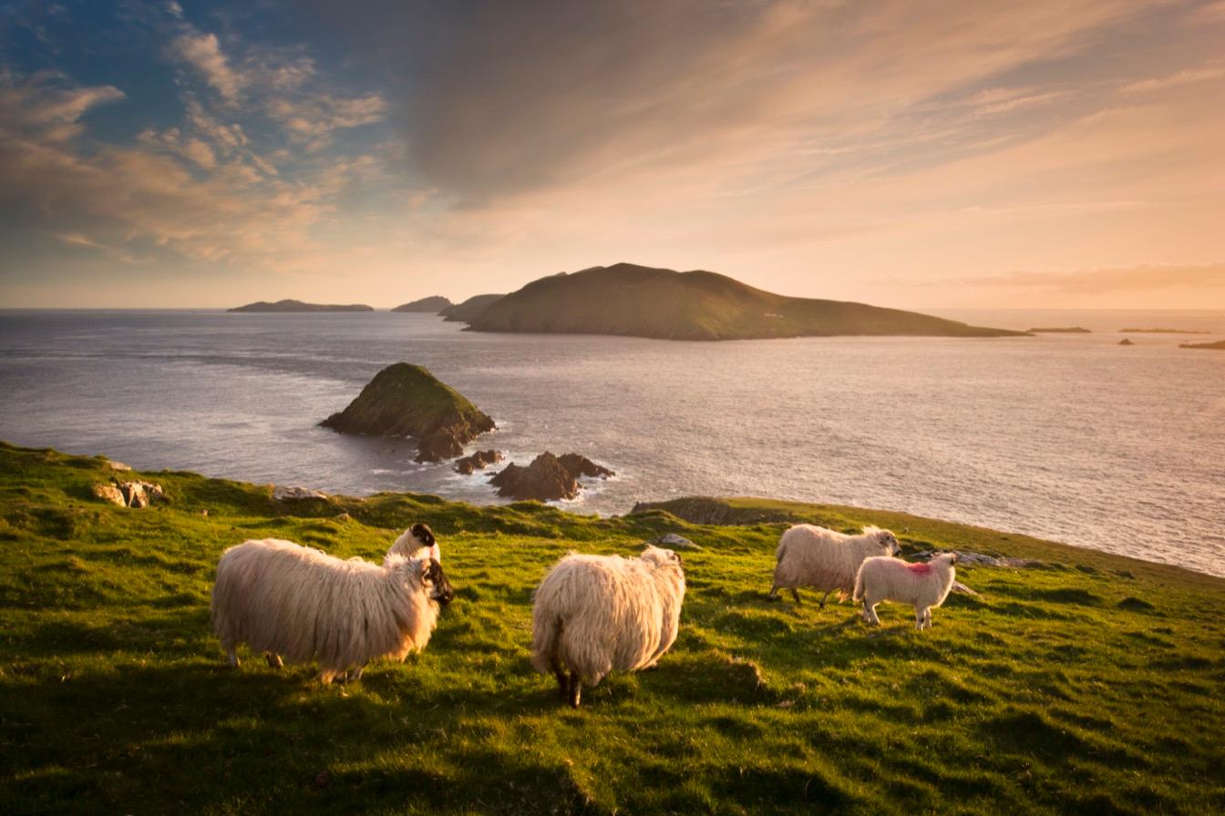 irlande aventure rythme